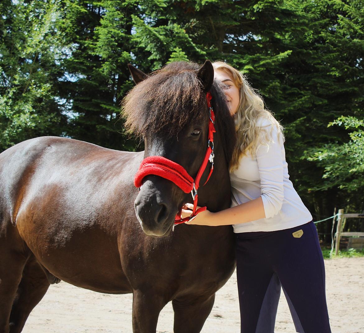 Islænder Godi fra Bakken  - Nok et af mine yndlings billeder af Godi og jeg <3 billede 9