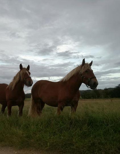 Jyde Valeri Tindbæklund billede 1