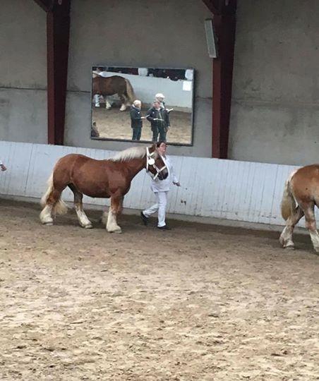 Jyde Valeri Tindbæklund billede 2