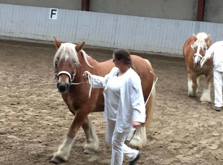 Jyde Valeri Tindbæklund billede 3