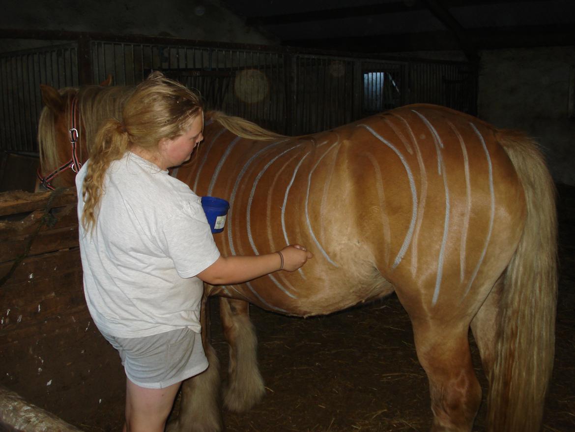 Jyde Valeri Tindbæklund billede 10