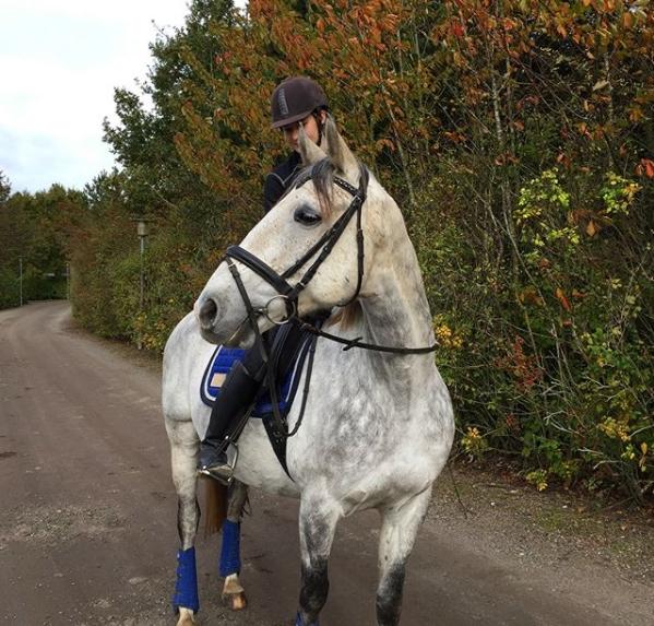 Anglo Araber (AA) Kessler - 18-10-2017 - Vores første tur <3 billede 18