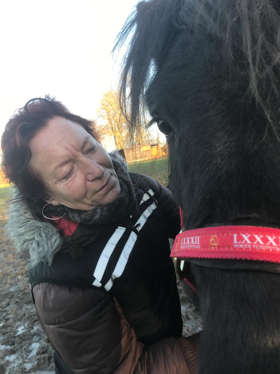 Islænder Askur fra Bjarup - Og et med min mor også! 😃 billede 12