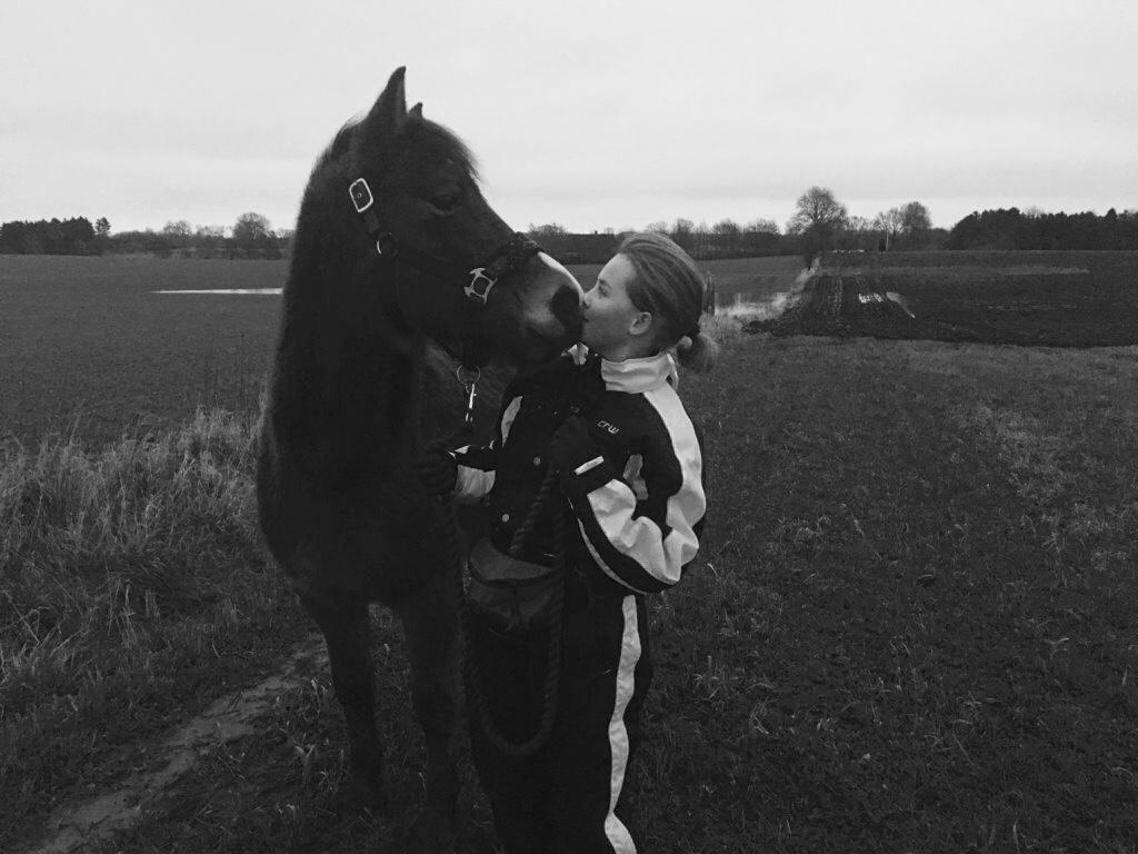 New Forest Poppelgårdens L'uno (aka Luno) [lånehest] - Min elskede <3 billede 19