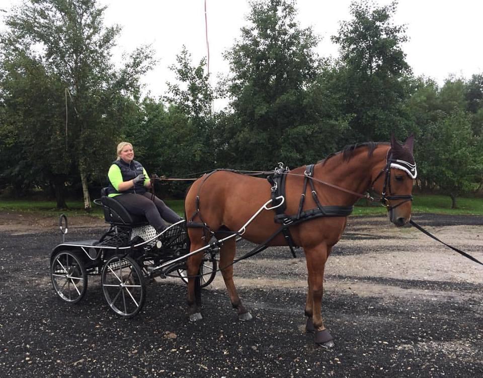 Traver Strauss Enemærket billede 4