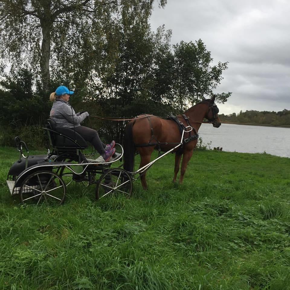 Traver Strauss Enemærket billede 5