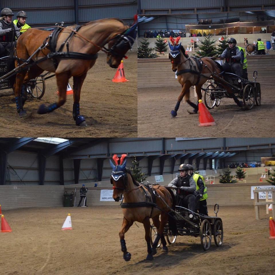 Traver Strauss Enemærket billede 12