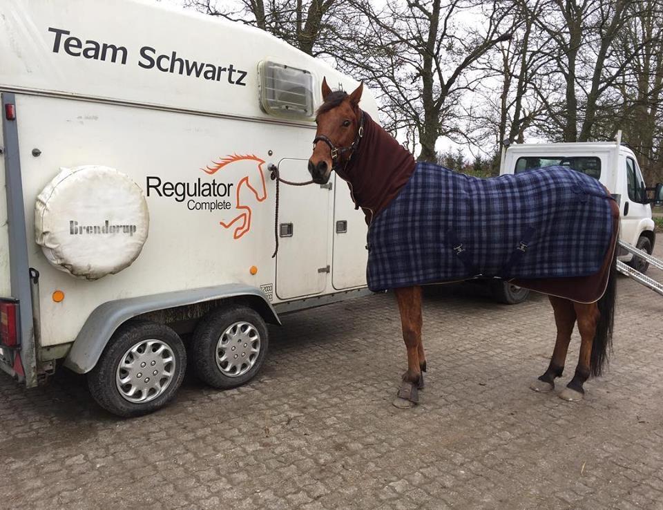 Traver Strauss Enemærket billede 7