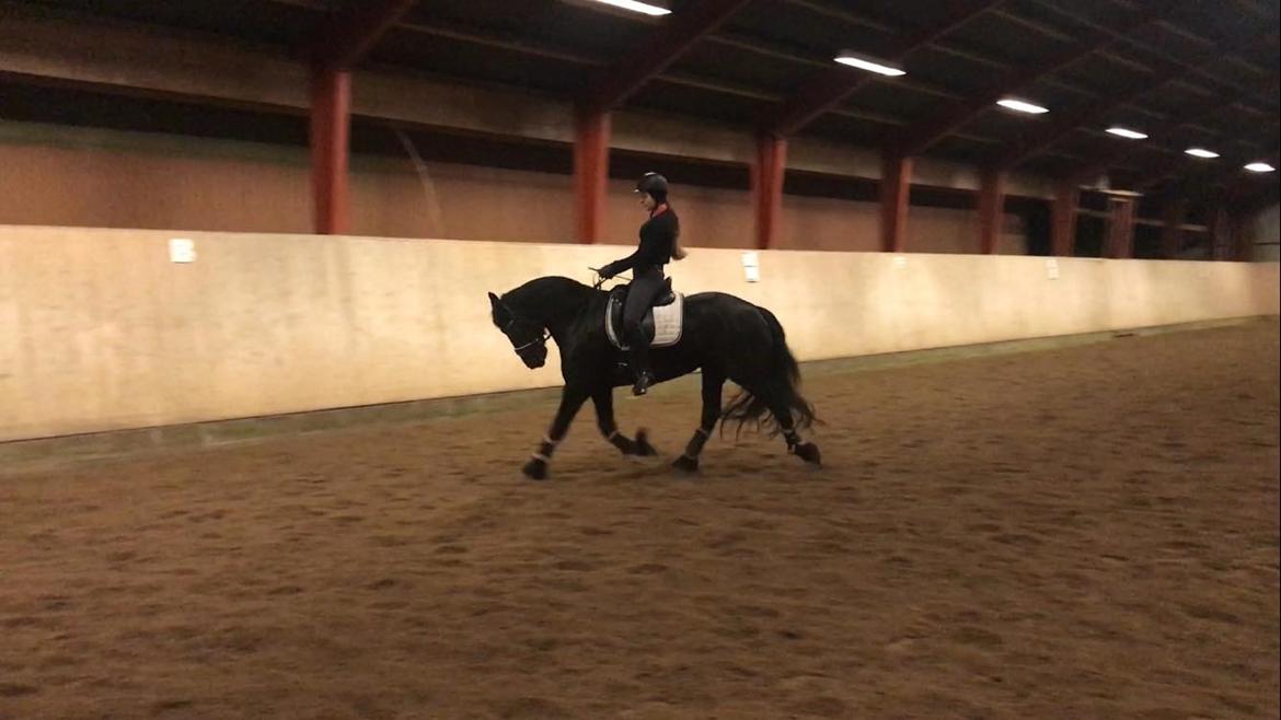 Frieser Griet Mieke billede 5