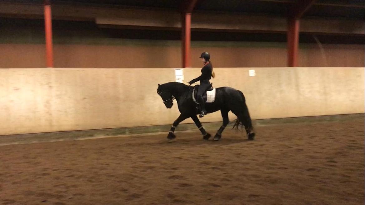 Frieser Griet Mieke billede 7