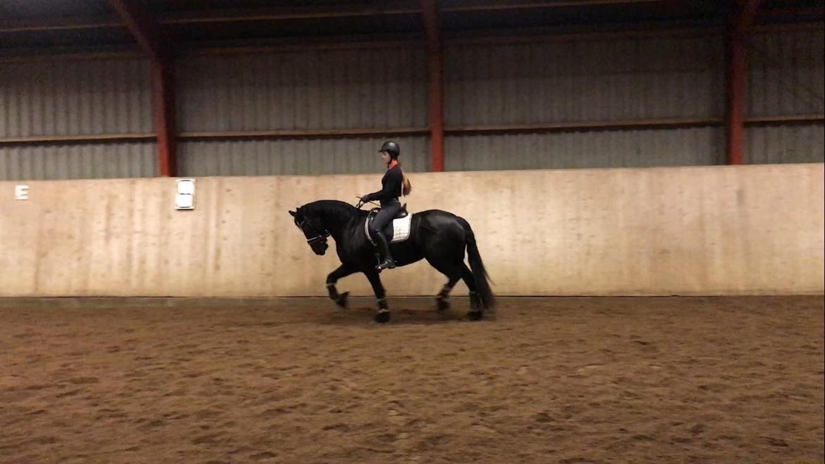 Frieser Griet Mieke billede 8