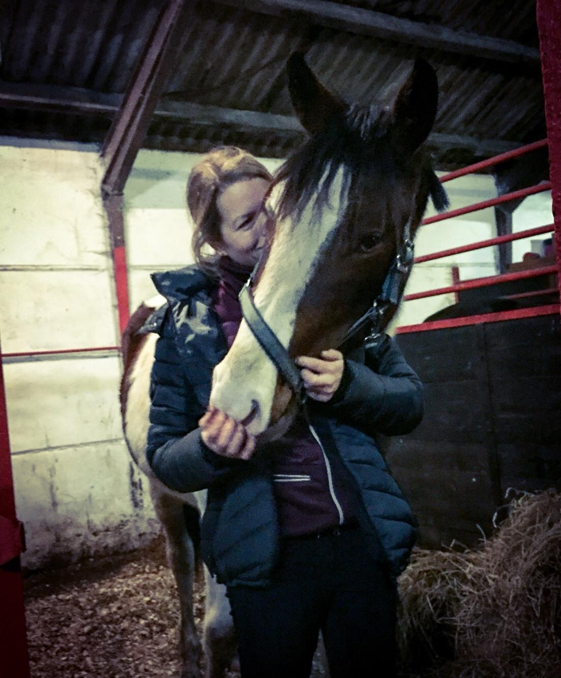 Anden særlig race Holmbergs Kiki Nova billede 17