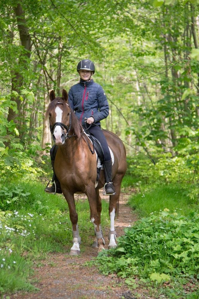 Anden særlig race Spirit billede 10