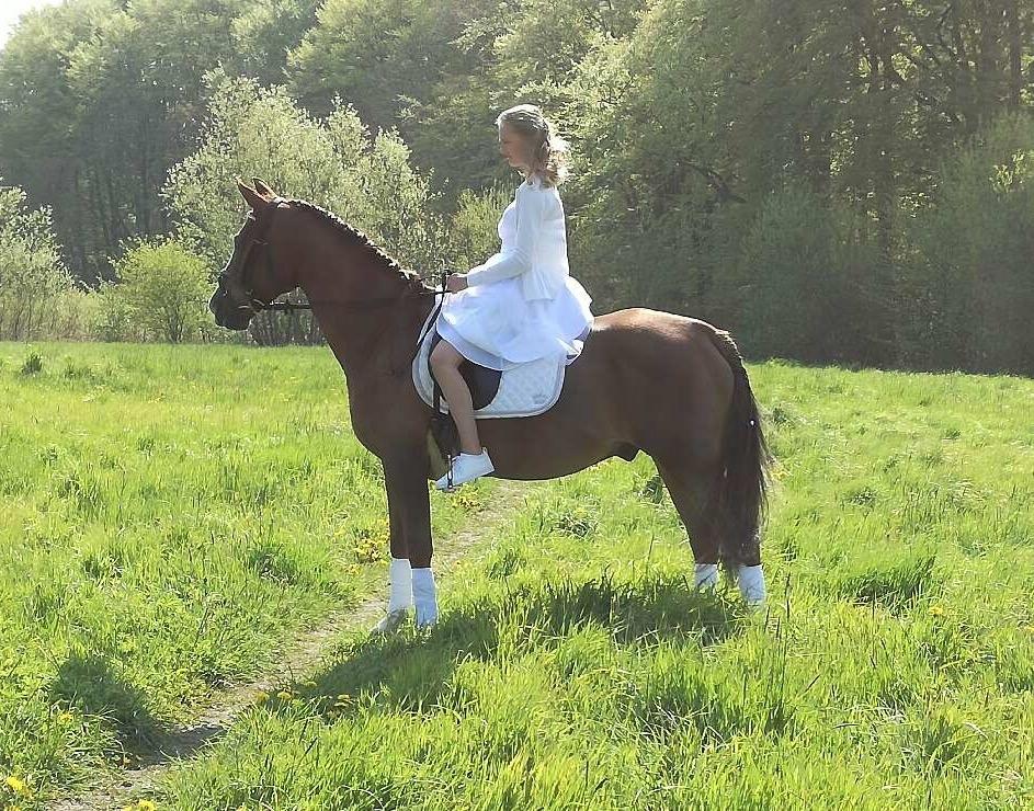 Anden særlig race Spirit billede 14