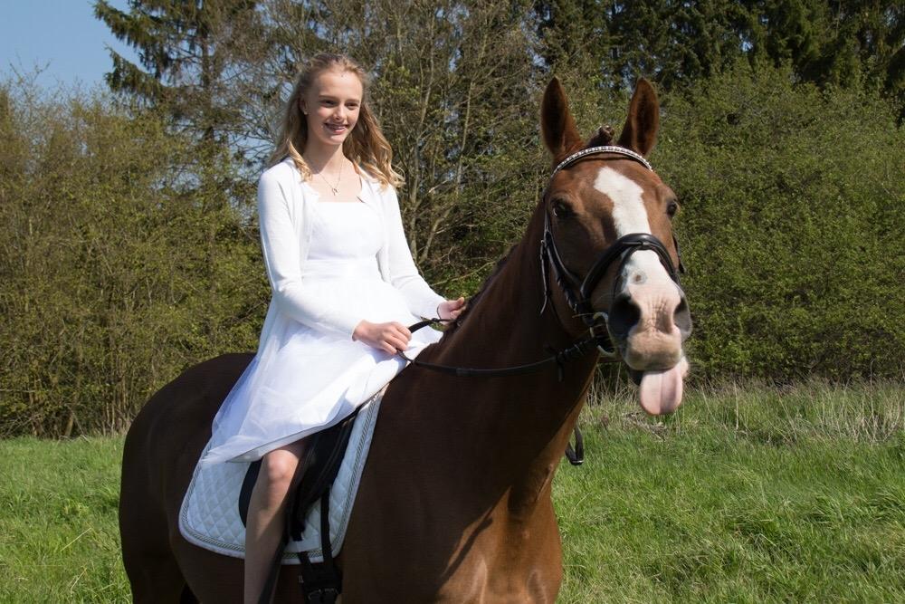 Anden særlig race Spirit billede 19