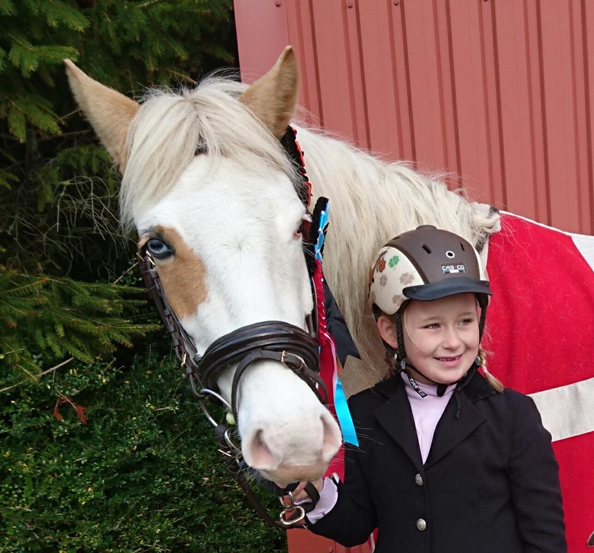 Palomino Golden Sunshine - Frida vandt sit første stævne på sunshine Frida kun 7år 😊 billede 41