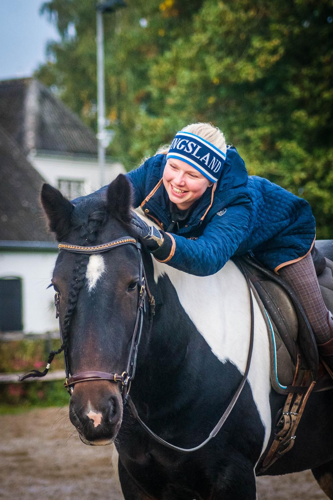Drumhorse King William Wings of Wulcan - Registeret i EU og billede 18