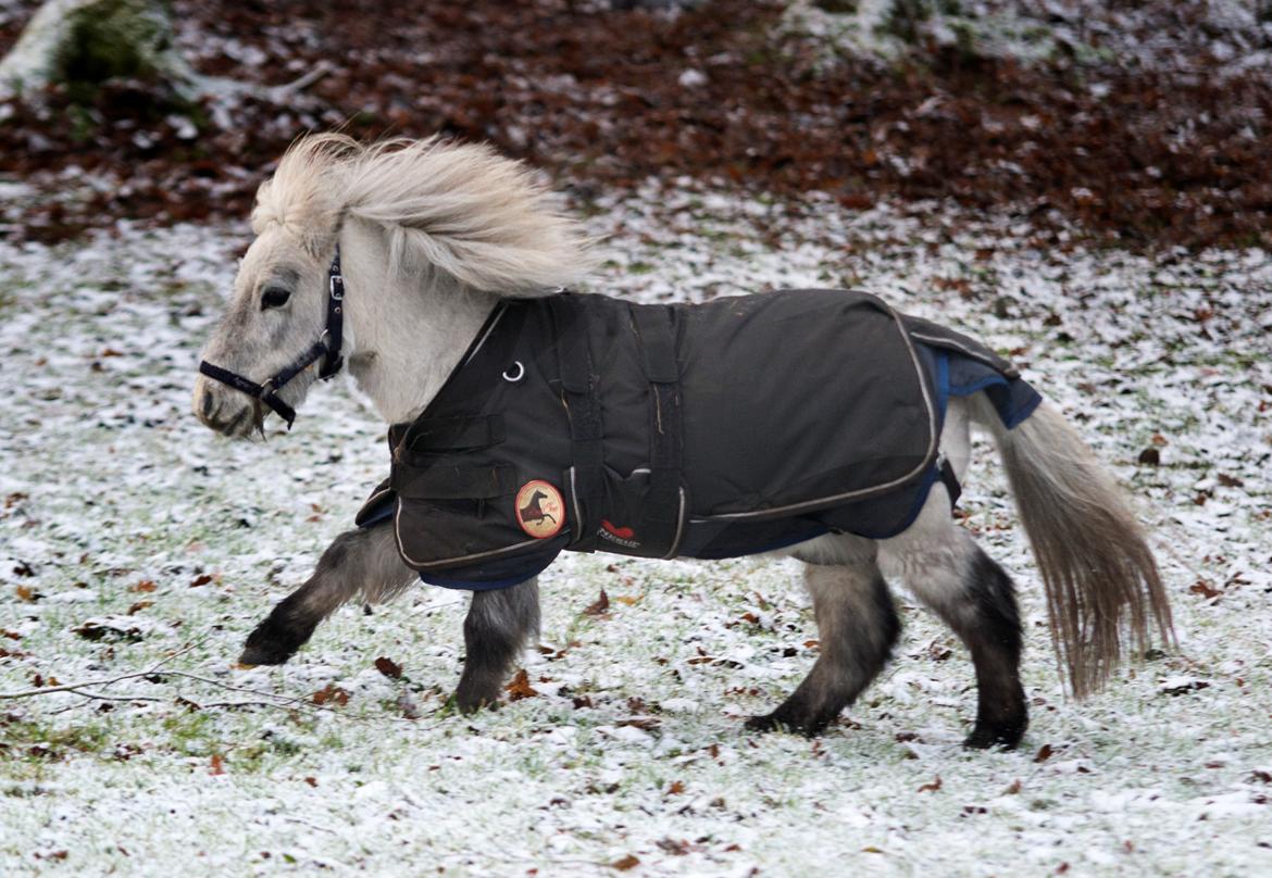 Miniature Máni billede 23