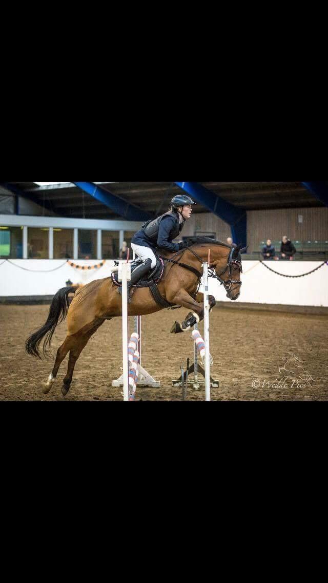 Anden særlig race Pepsi billede 1