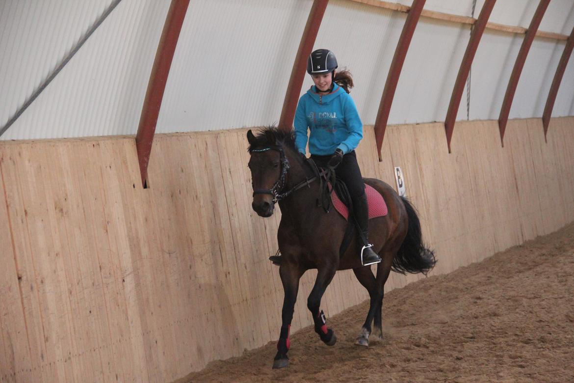 New Forest Mortensmindes picasso - Velkommen billede 1