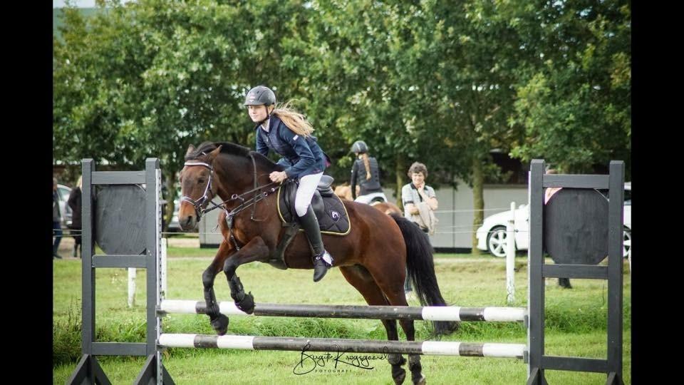 Anden særlig race Malou billede 17