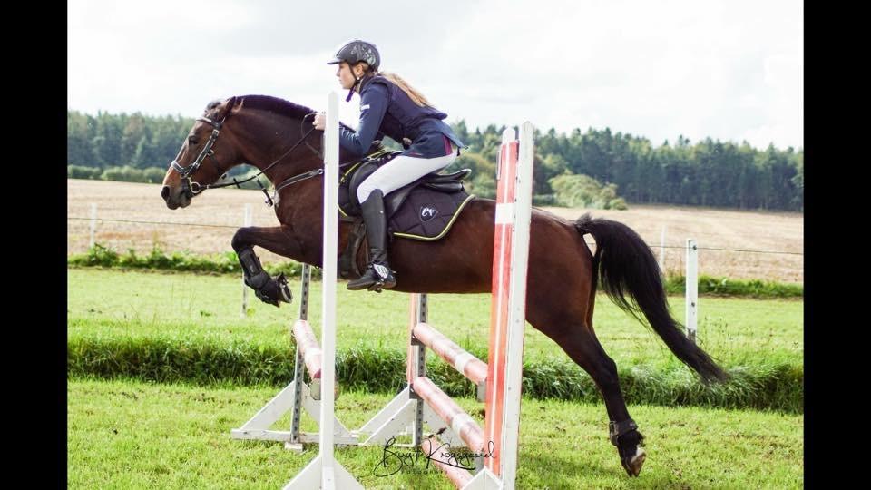 Anden særlig race Malou billede 18