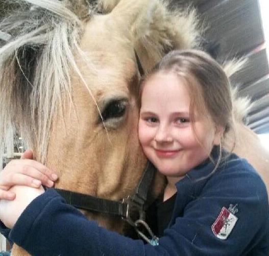 Fjordhest Trine - I år 2014 billede 1