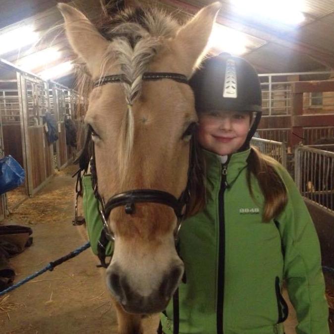 Fjordhest Trine - I år 2014 billede 8