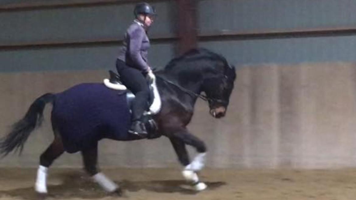 Connemara Egevangens Bailey billede 41