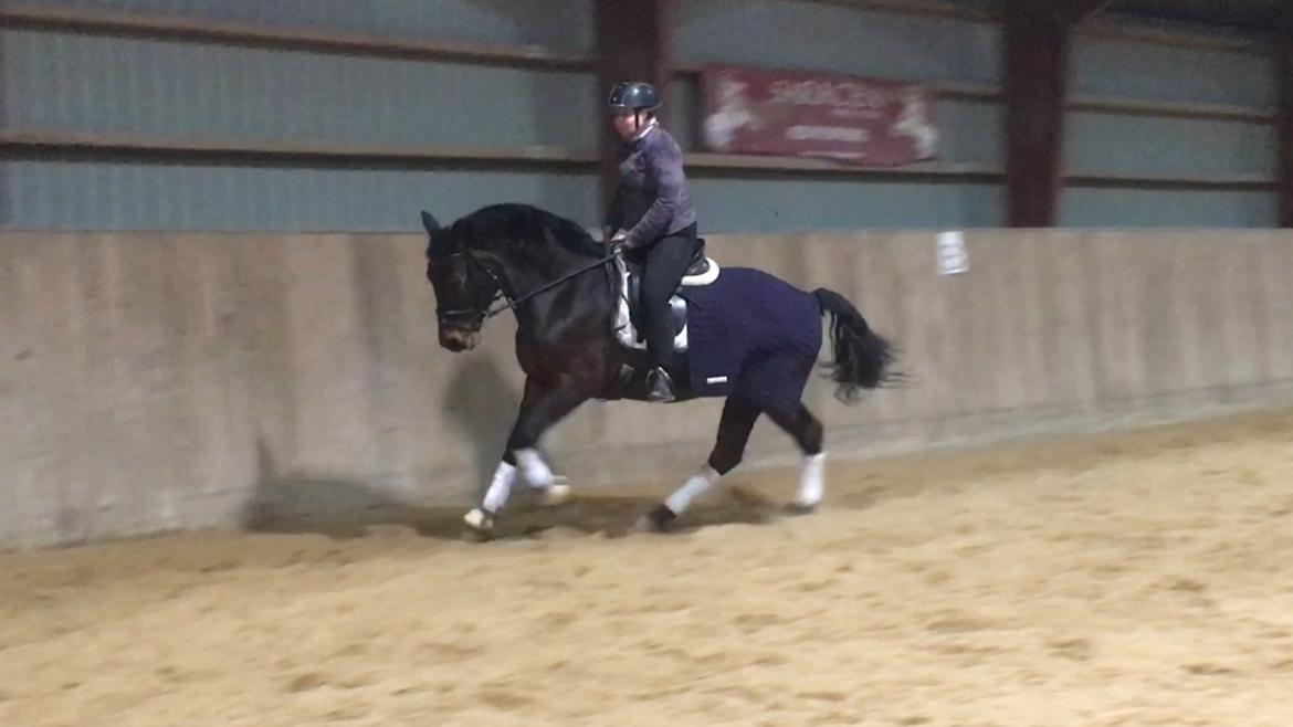 Connemara Egevangens Bailey billede 44