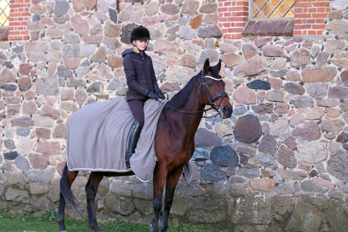 Fuldblod (XX) Madame de Jour XX (den) (Smilla) billede 3