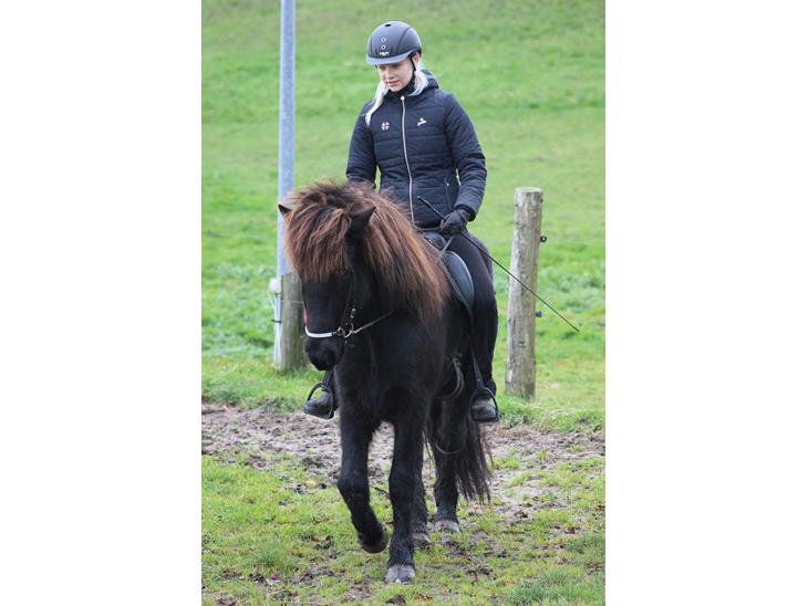 {{currentPhoto.altText}} billede {{currentPhoto.number}}