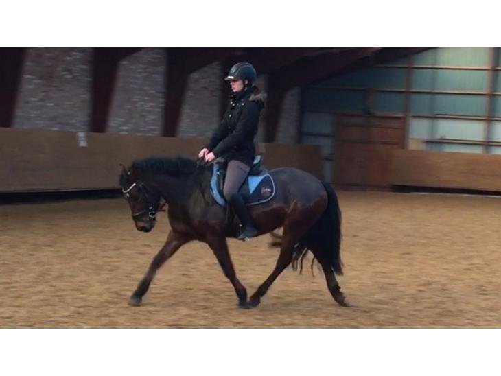 {{currentPhoto.altText}} billede {{currentPhoto.number}}