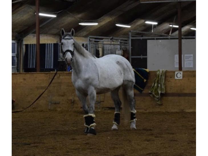 {{currentPhoto.altText}} billede {{currentPhoto.number}}