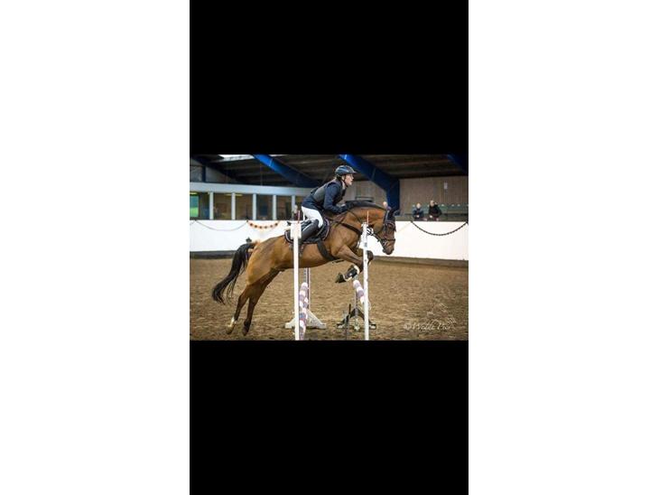 {{currentPhoto.altText}} billede {{currentPhoto.number}}