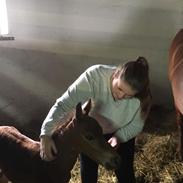 Anden særlig race Brandborg's Caffrey