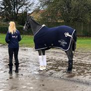 Fuldblod (XX) Forty Nine Steps