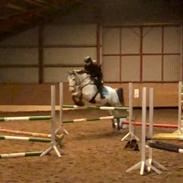 Anden særlig race Mister Santos