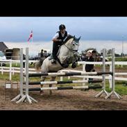 Anden særlig race Mister Santos