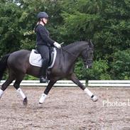 New Forest Elmholts Jargon.