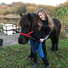 Islænder TVISTUR fra FRI-STEDET