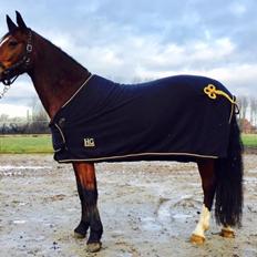 Anden særlig race Charmeur