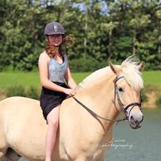 Fjordhest Lamhaves Confetti 