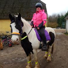 Tinker Skovbakkens Maggi May