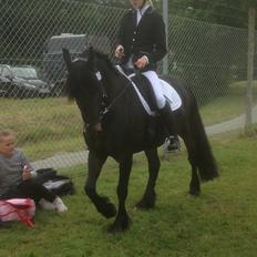 Anden særlig race Soya