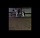Amerikansk Paint Pony Lucky