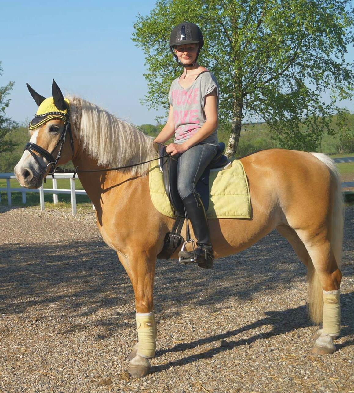 Haflinger Grynet (Kaldes Gry) - Du er min hverdag... <3 billede 1