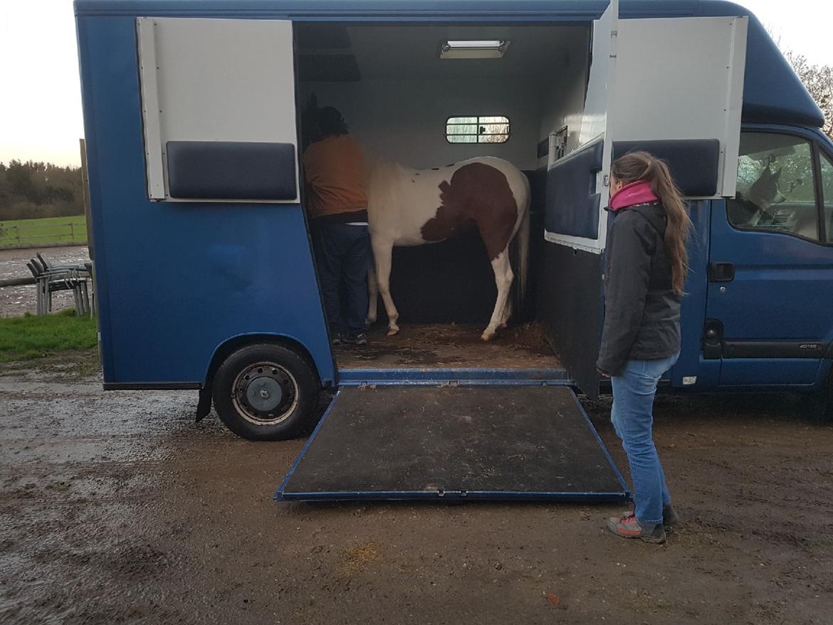 Paint LBS Katie Dun billede 13