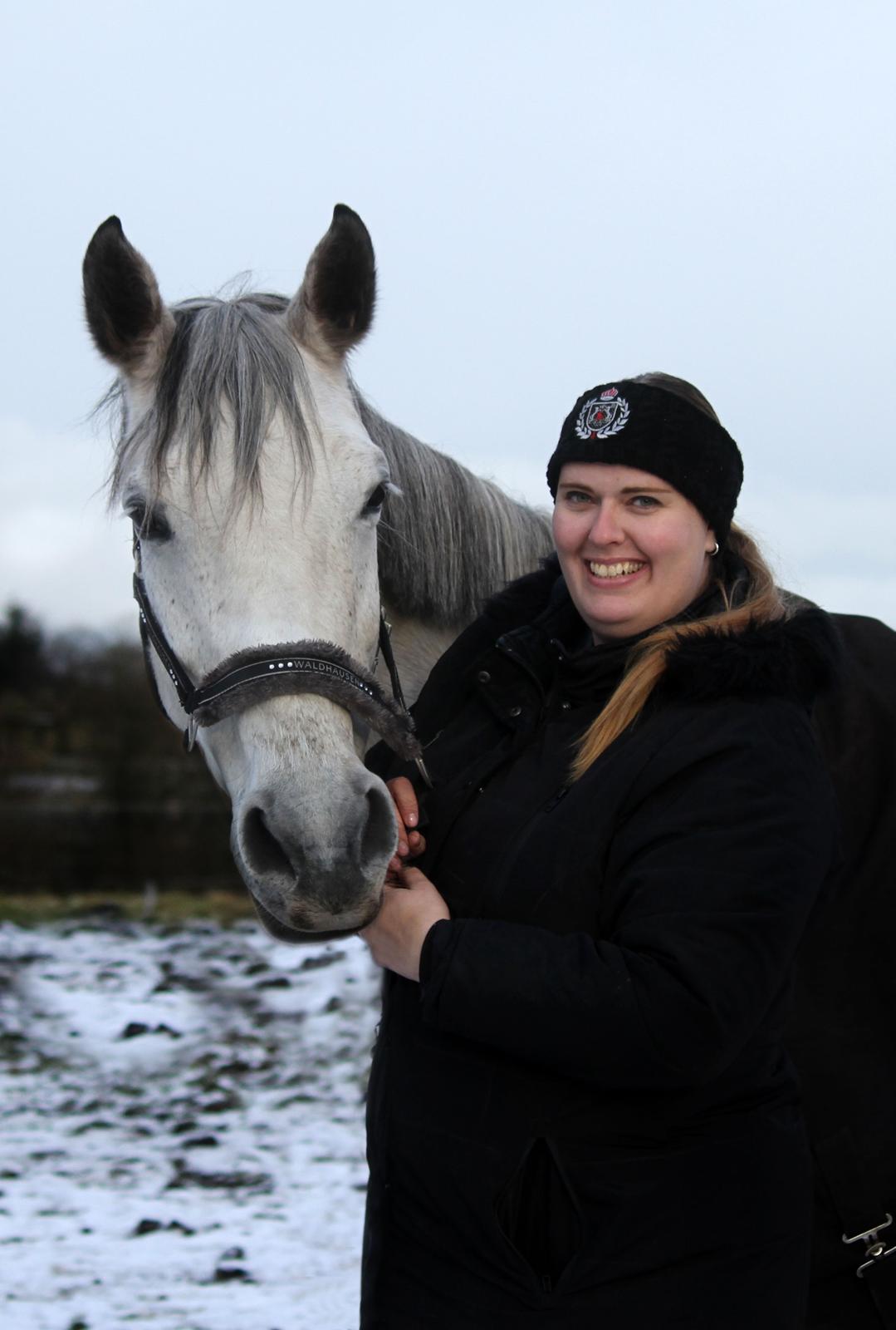 Dansk Varmblod Lambrié Vejen (Avlshoppe) - NYT: Min dejlige dame <3 billede 5