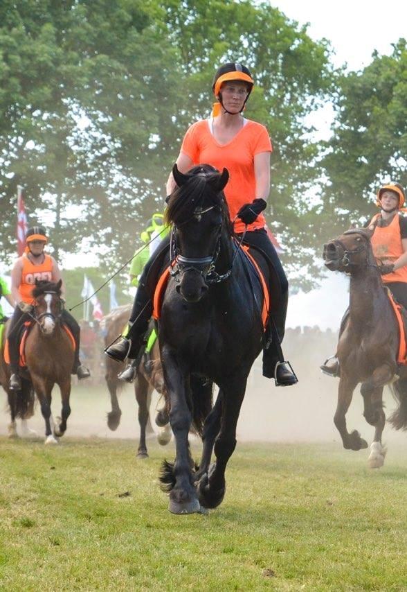 Welsh Cob (sec D) Petersgaards Louisianna billede 24